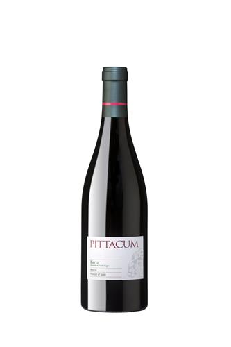 Pittacum