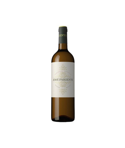 Jose Pariente Verdejo Rueda 